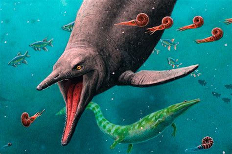 Animais Marinhos Pre Historicos - Repteis Marinhos Pre Historicos Tipos De DINOSSAUROS MARINHOS Nomes
