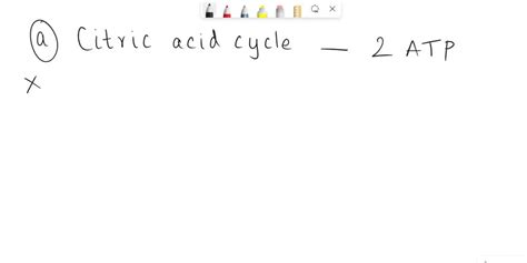 SOLVED: Which of these uses an electrochemical gradient to drive a ...