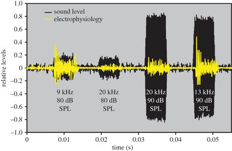 Sample Overall Electrophysiological Response Where Black Is The