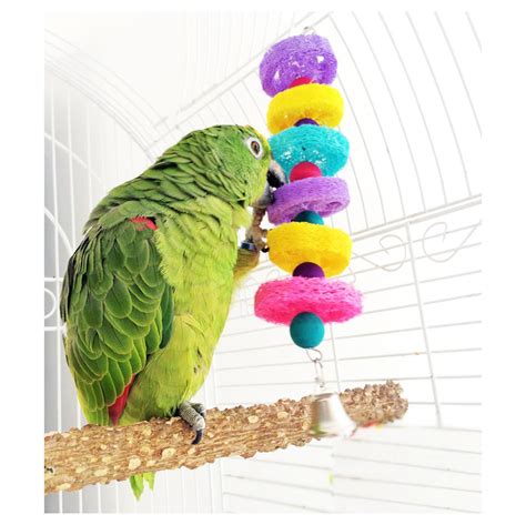 Birds Funny Parrot Toys Natural Loofah Clutch Chew Toy Bird Cage