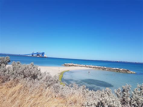 Kwinana Dog Beach - Kwinana Beach WA 6167, Australia