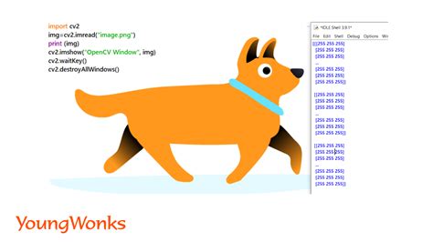 Getting Started With Python Image Processing Using Opencv