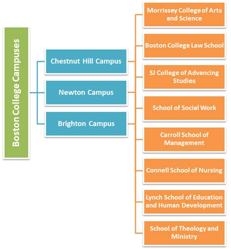 Boston College Admission 2023: Application Fees, Deadlines, Acceptance ...
