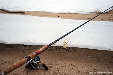 Неоспоримый Black Hole Undisputed – рыболовные обзоры | Рыбак Baly