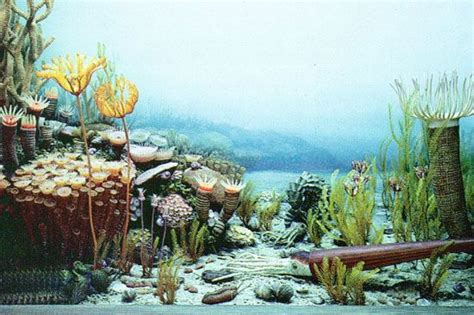 Devonian Period Underwater Plants