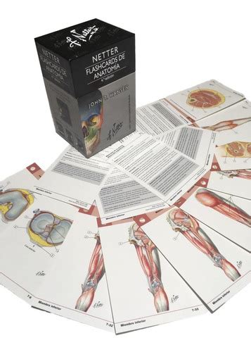 Netter Flashcards De Anatomía 5ed nuevo original Cuotas sin interés