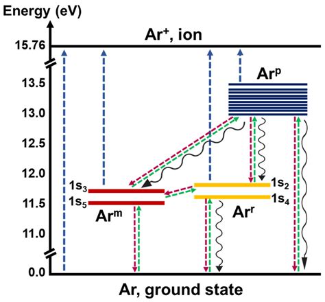 Plasma Free Full Text The Effect Of Excited Species On The