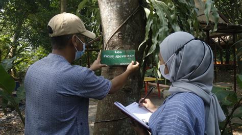 Peluang Usaha Baru Prodi Kehutanan Umm Buka Coe Essential Oil Berita