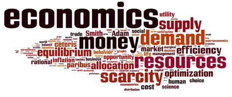 economics    amit sengupta