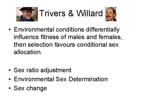 Conditional Sex Allocation I Basic Scenarios Trivers Willard