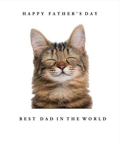 Best Dad In The World Cat Fathers Day Card Funny Humorous Greetings