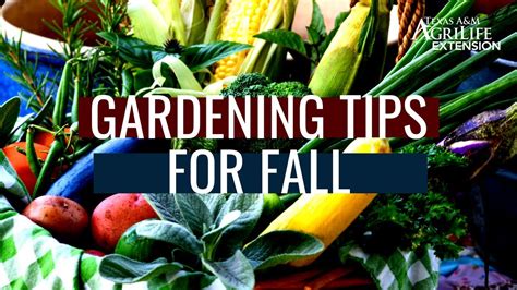 Gardening Tips for Fall - Gardening Chronicle