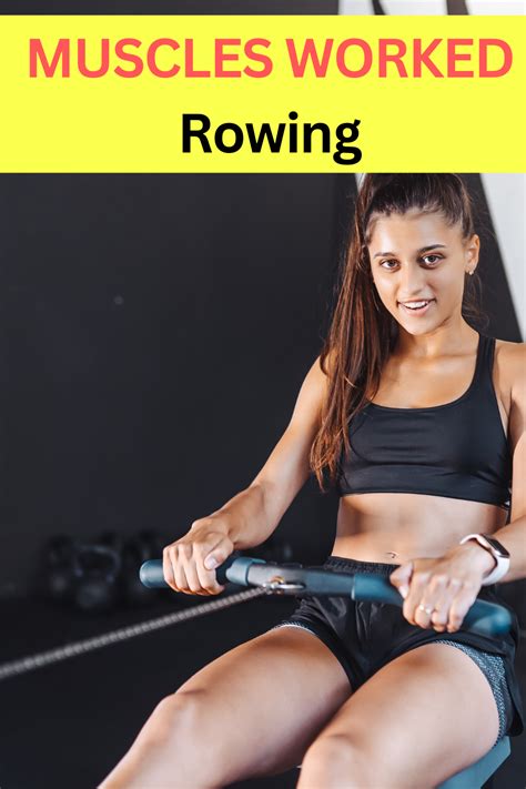 Muscles Worked By A Rowing Machine The Complete Guide Rowing Machine