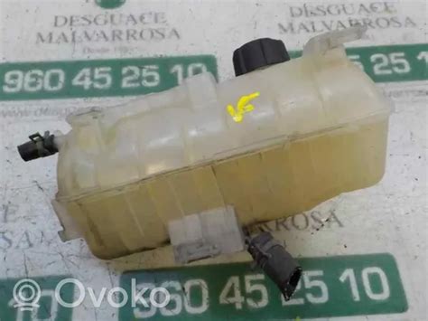 Renault Kangoo Ii Fuel Expansion Tank Rrr