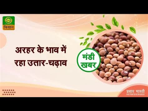 Agricultural Market Mandi Khabar मड खबर अरहर क भव म रह