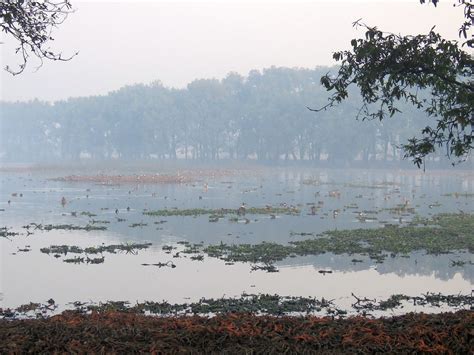 Surajpur Bird Sanctuary - All You Need to Know BEFORE You Go (2025)