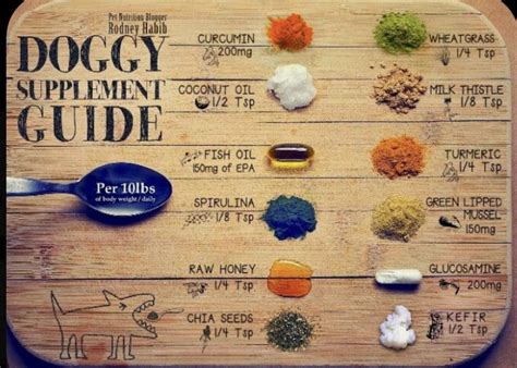 how to make homemade dry dog food