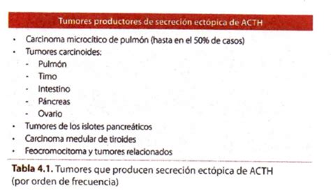 Fichas De Aprendizaje Sx Cushing Quizlet