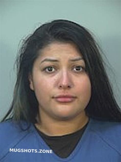 Saldana Reyna Marie Dane County Mugshots Zone