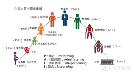 组织学视角的企业生命周期划分_阶段