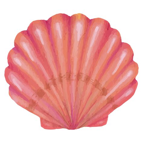 Shell Underwater Clip Art Element Transparent Background 24398467 Png