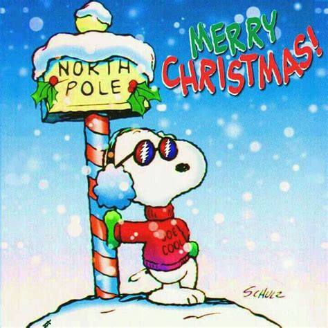 Pin By Ampm On Cards Snoopy Christmas Snoopy Love Snoopy