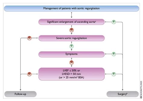 Esc Eacts Guidelines For The Management Of Valvular Heart Disease