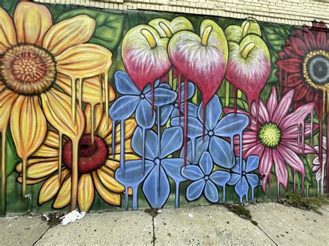 Urban Graffiti Art Featuring Mural Of Vibrant Flower Garden 47 OFF