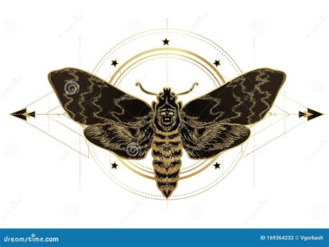 Golden Moth Over Sacred Geometry Sign Isolated Vector Illustration