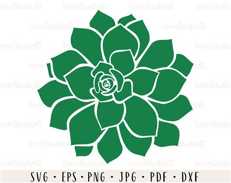 Succulent Svg Bundle Succulent Cut File Succulent Monogram Etsy