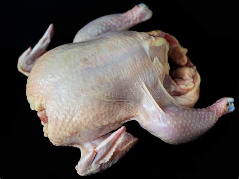 683 Naked Chicken Stock Photos Free Royalty Free Stock Photos From Dreamstime