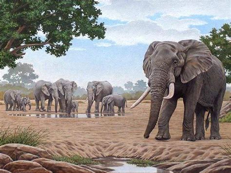 5D Diamond Painting Elephant Herd Kit