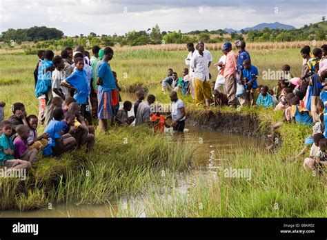 Adult Christian Baptism By Total Immersion In A River Near The Village