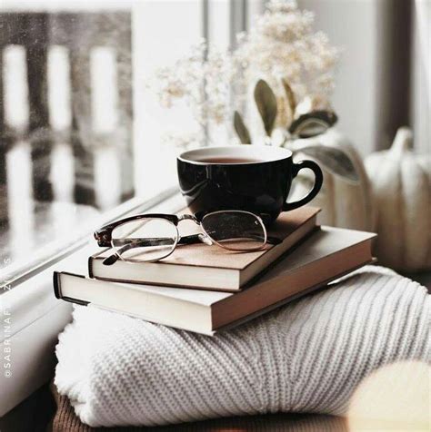Книжный мир