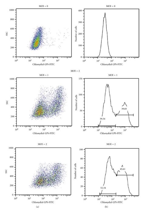 Separation Of Infected And Uninfected Endocervical Epithelial Cells In