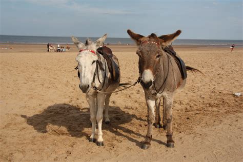 Mablethorpe Beach - Lincolnshire | UK Beach Guide