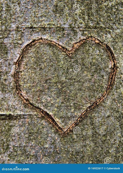 Heart Carved In Tree Trunk Stock Image Image Of Conceptual