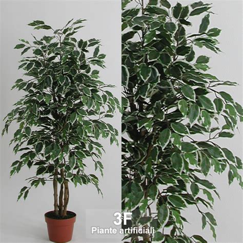 3F Piante Artificiali V FICUS BENJAMIN ECO VARIEGATO ALTEZZA CM