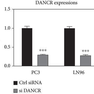 The Roles Of DANCR MiR 33b 5p LDHA In Taxol Resistance Of PCa Cells