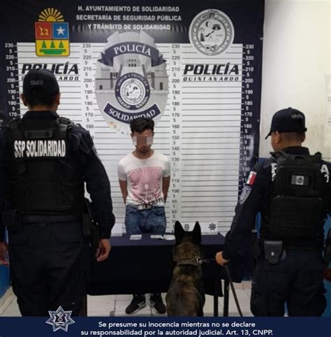 Detenido Al Intentar Ingresar Droga A Playa Del Carmen