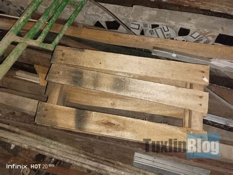 Review Kamera Infinix Hot G Ternyata Kayak Gini Hasil Fotonya Tuxlin Blog