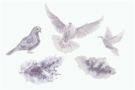 Flying Dove Watercolor Clip Art Masterbundles