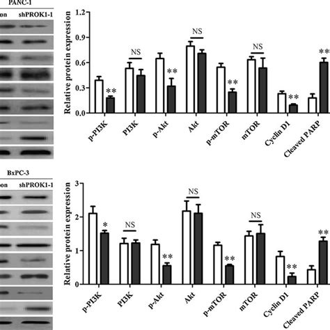 Prok Silencing Inhibits Pi K Akt Mtor Signaling Way In Pancreatic