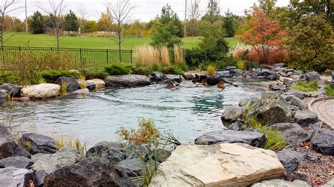 Your Backyard Oasis Everything You Need To Know About Natural Swimming