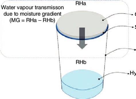 Scheme Of The Set Up Of The Cup Method Download Scientific Diagram