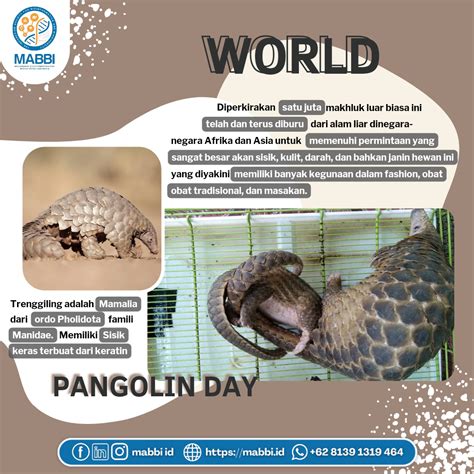 Happy World Pangolin Day 2023 Masyarakat Bioinformatika Dan