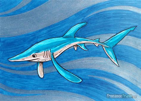 Blue Shark Illustration – Freelance Fridge- Illustration & Character Development