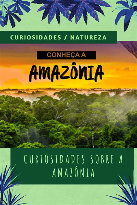 Curiosidade Sobre A Amazonia - Descubra 38 Curiosidades sobre a Amazônia | Floresta amazonica brasil ...