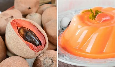 Recetas Deliciosas Y Cremosas Con Mamey Cocina Delirante