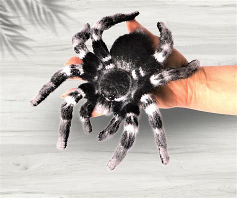 Ravelry: Whiteknee Tarantula pattern by Natali Batluk